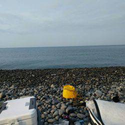 ちょい投げでキス