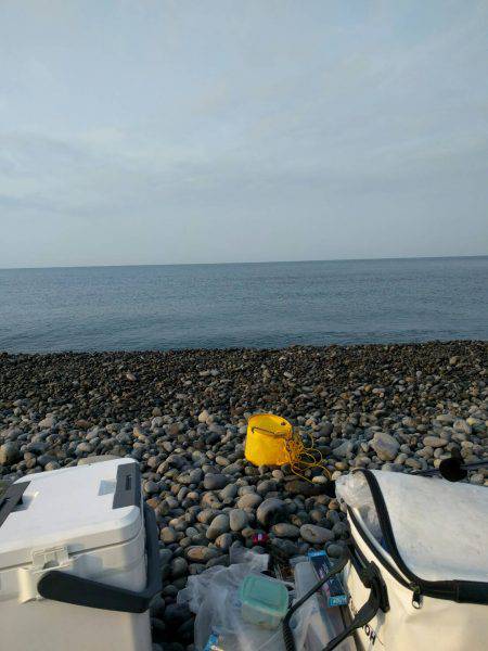 ちょい投げでキス