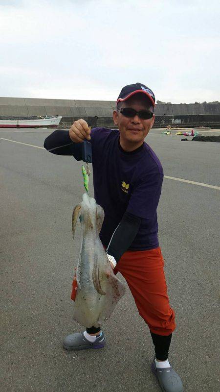 エギングで2キロたらず～