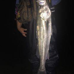 昨日よりサイズアップ 。