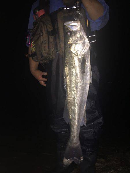 昨日よりサイズアップ 。