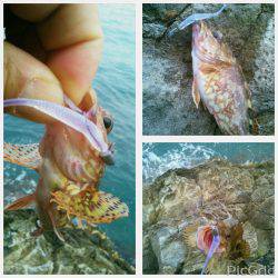 ガ、ガ、ガッシー