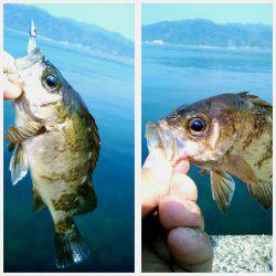 やっぱり癒される～♪