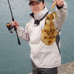 5月9日エギング釣行