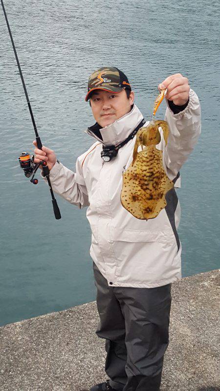 5月9日エギング釣行