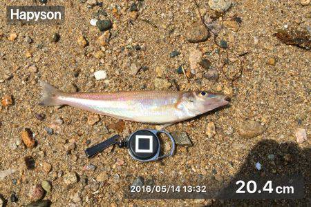 シーズン初のキス