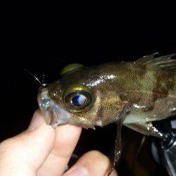 アミパターン？