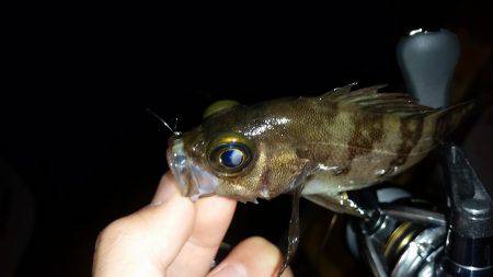 アミパターン？