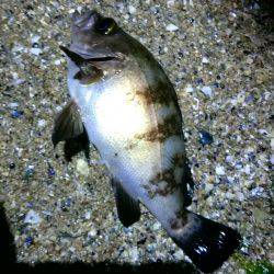 １人で不安……