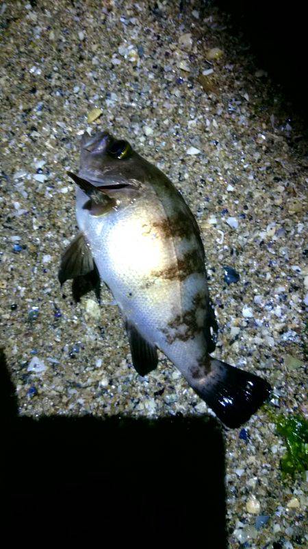 １人で不安……