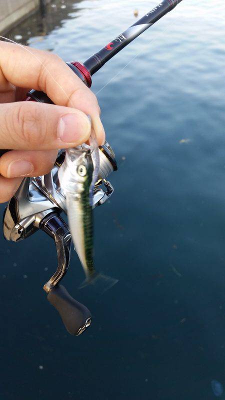 サバゲー開幕！？