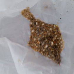 エサとりが多すぎて、、、