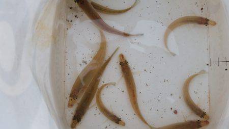 キス！乗りません。