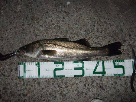 スランプ脱出？？？