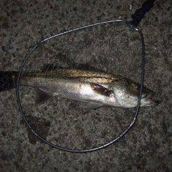 スランプ完全脱出！