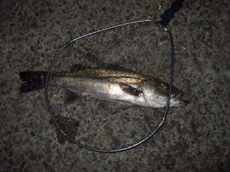 スランプ完全脱出！