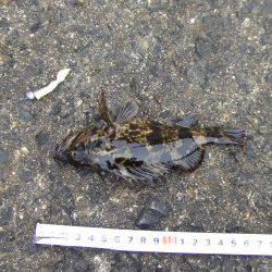 穴釣り　赤潮で不調