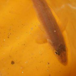 針はなまっていませんか？