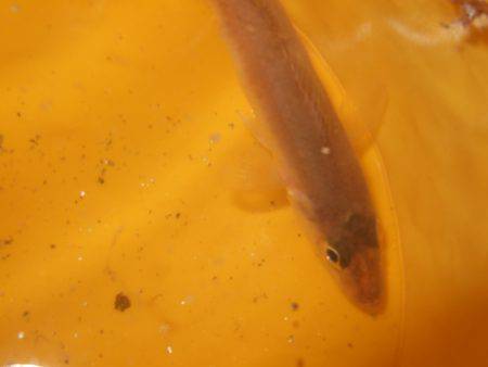 針はなまっていませんか？