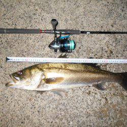 バチパターンでは不発。