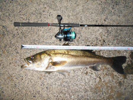 バチパターンでは不発。