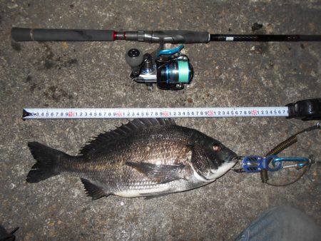 テクトロで良型のチヌとキビレがヒット♪。