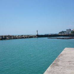 ﾏｯﾀﾘ釣り。