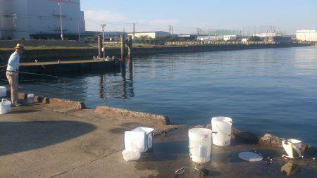 食コン、早朝サビキに挑む！