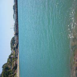 コウイカ エギング