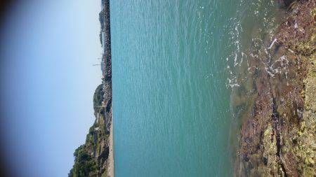 コウイカ エギング