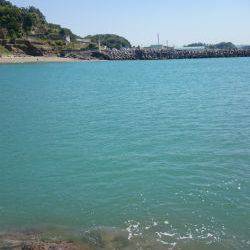 コウイカ エギング