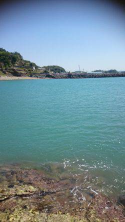 コウイカ エギング