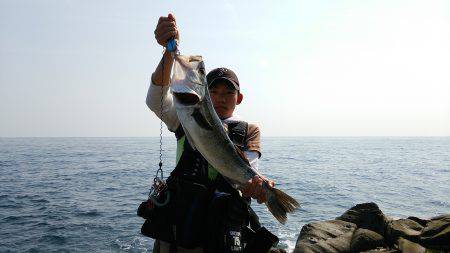 シーバスゲット