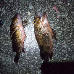 煮付け食べたくて