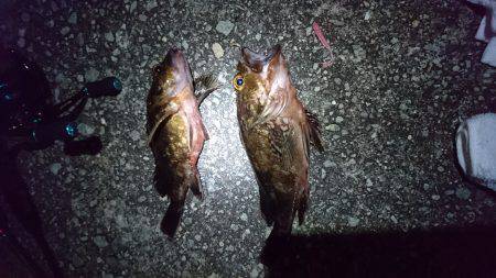 煮付け食べたくて