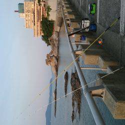 投げ釣り、キス釣り