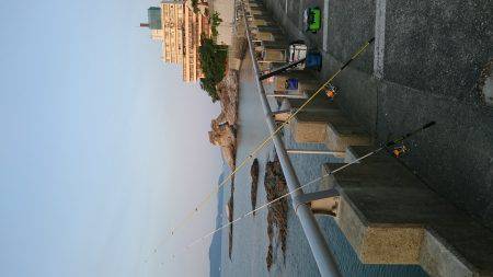 投げ釣り、キス釣り