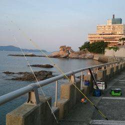 投げ釣り、キス釣り
