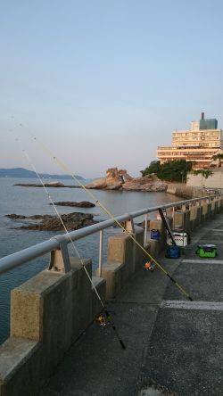 投げ釣り、キス釣り
