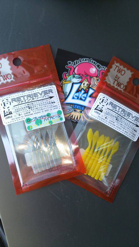 ピンギス調査♪