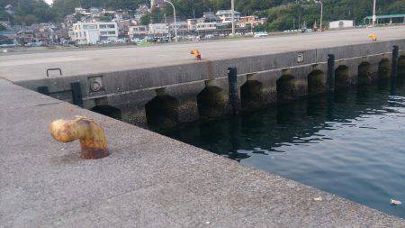 サバときどきアジ