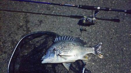 南港大橋チニング