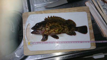 エギングのちガシリング