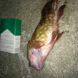 今日は気分を変えて