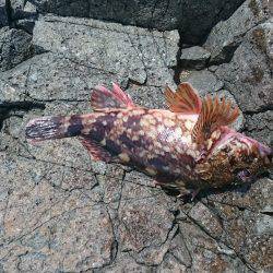 短時間でランガン