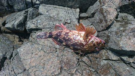 短時間でランガン