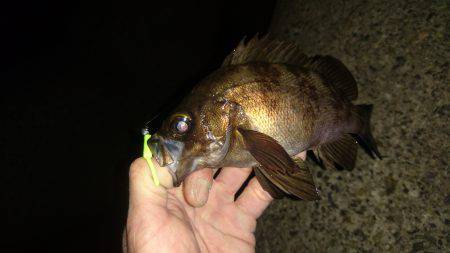 フロートメバルゲーム