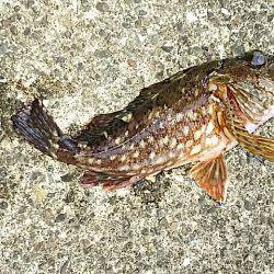 久々の和歌山方面