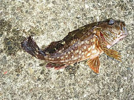 久々の和歌山方面