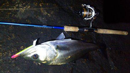 バチシーめぇ～